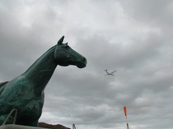 Vincent's horse is one of 18 involved in the Resene Fastest Art Exhibition, organised by the Auckland Racing Club in the build up to New Zealand's richest sporting event, Auckland Cup Week.